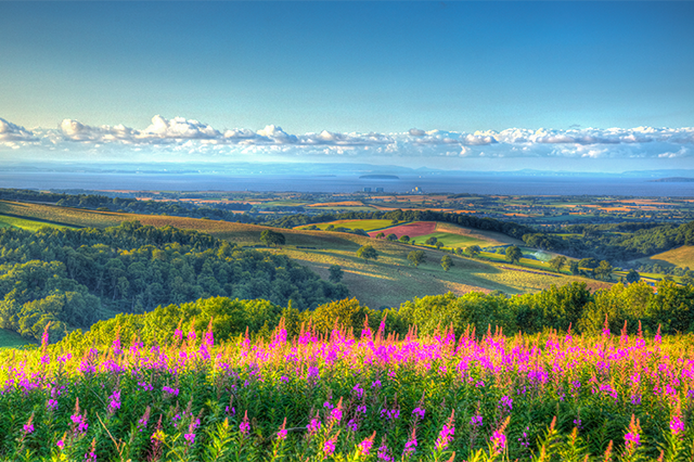 Quantock Hills